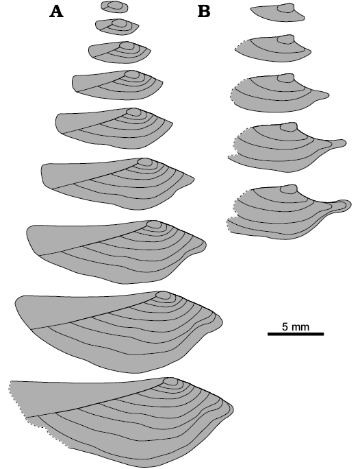 18803.png