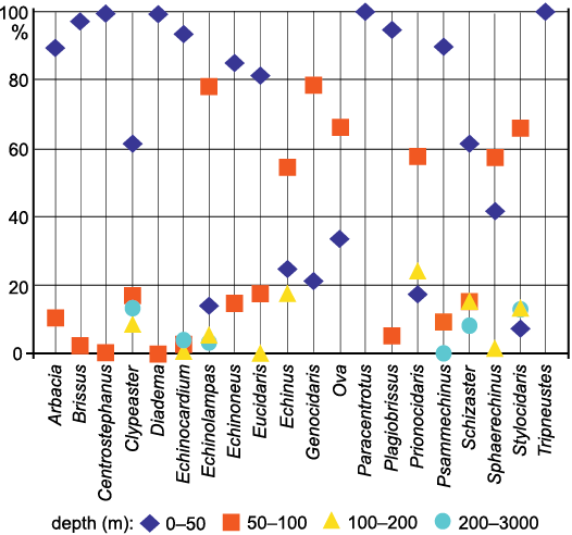 18826.png