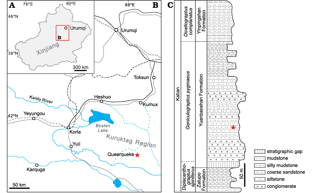 20081.png