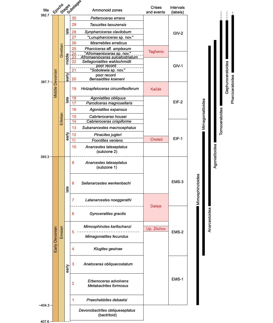 18407.png