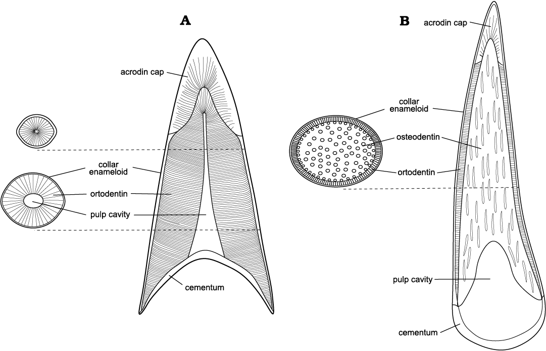 18931.png