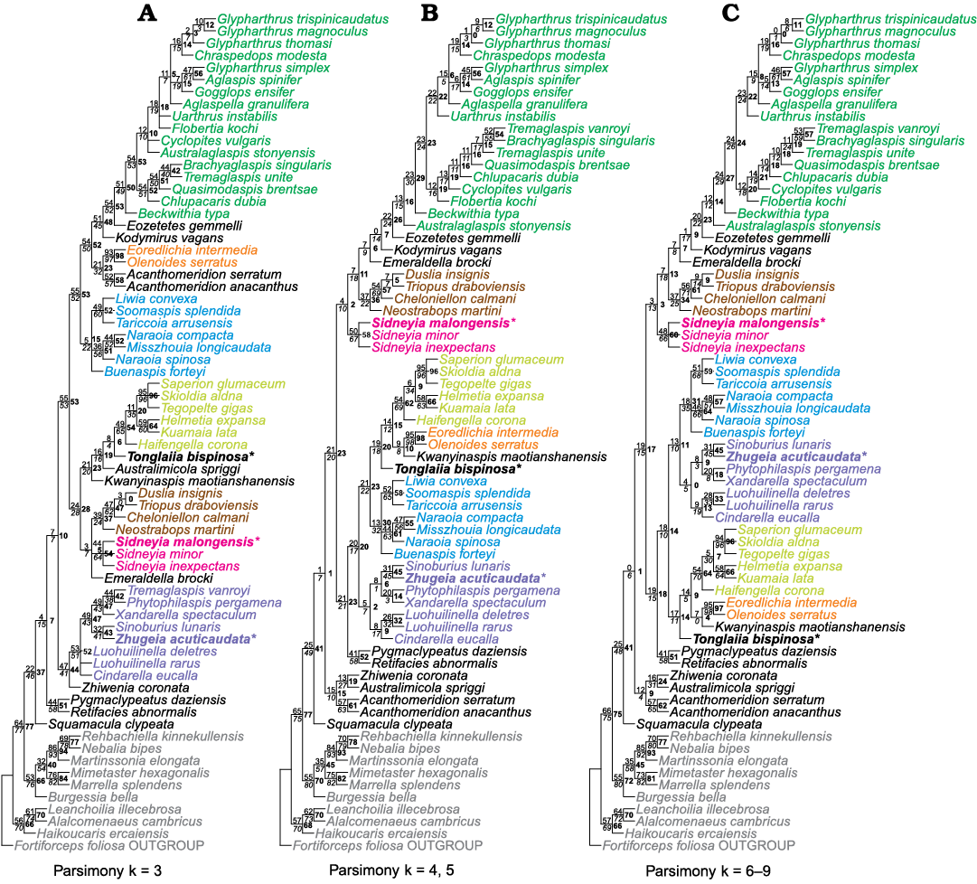 18910.png