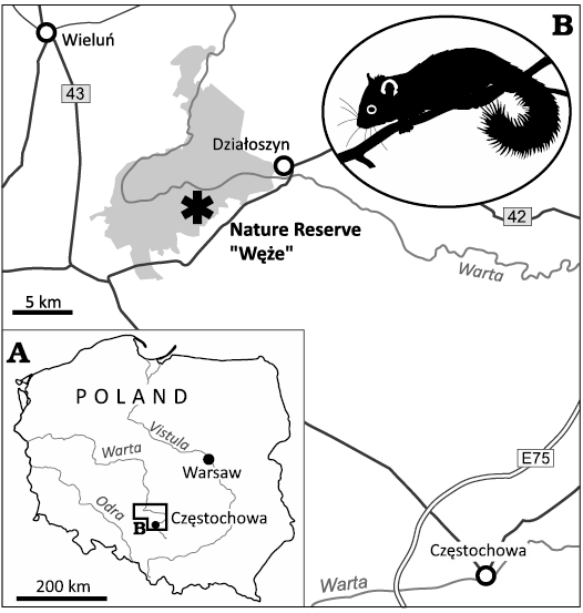 18179.png