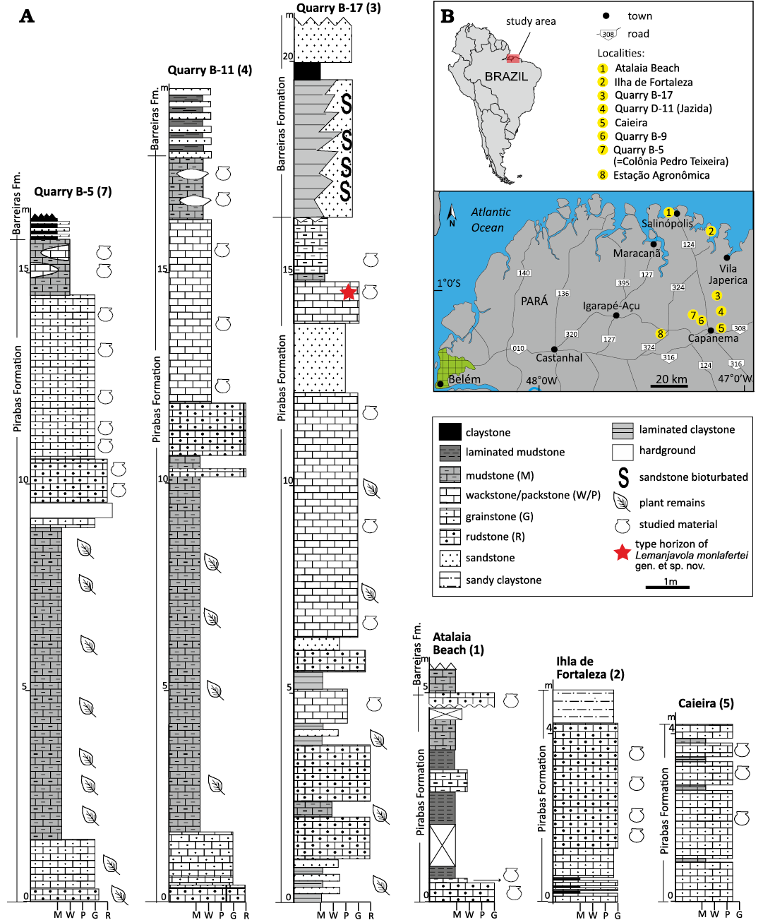 19138.png