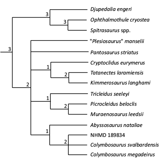 19140.png