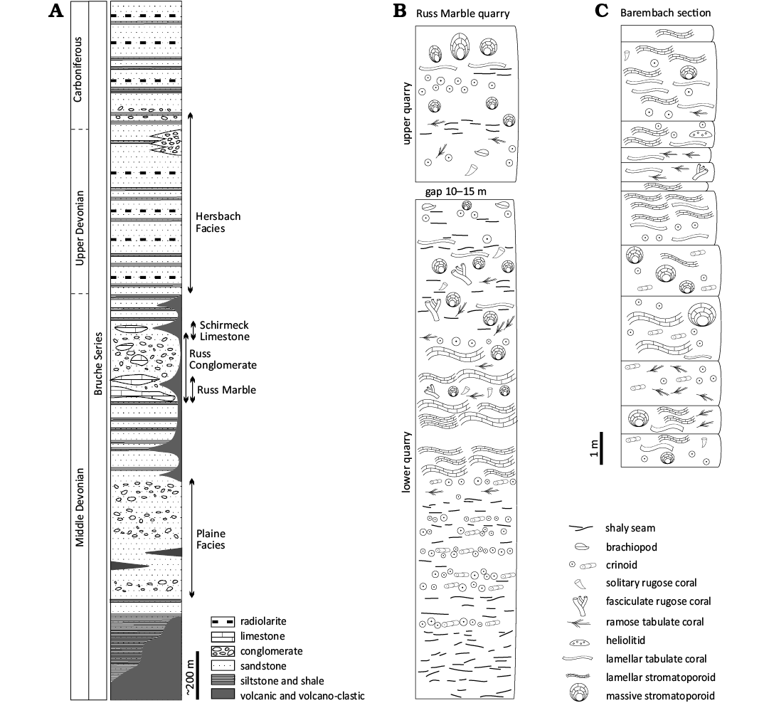 18281.png