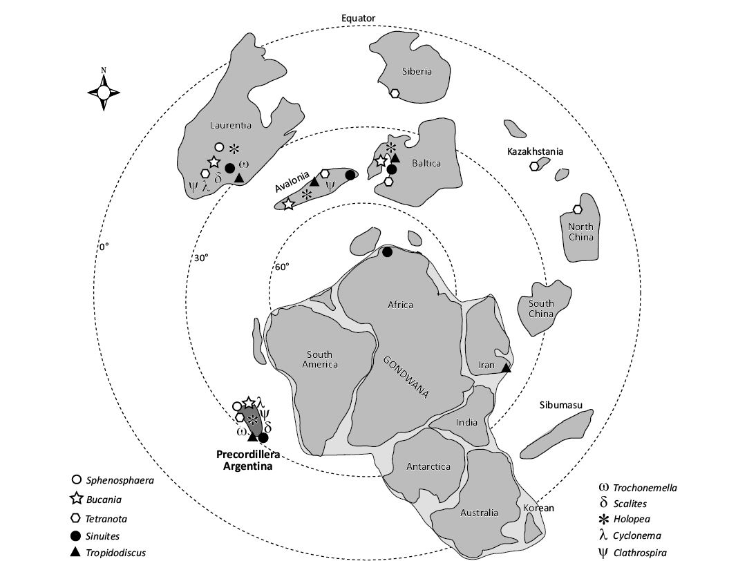 19033.png