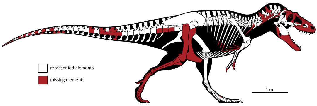 18302.png