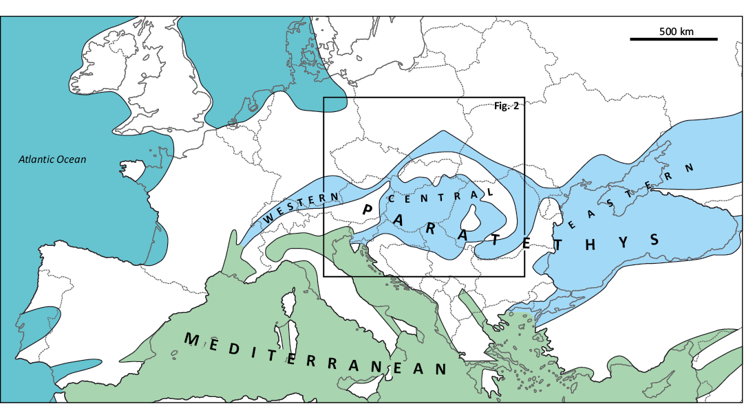18978.png