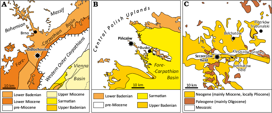 18994.png