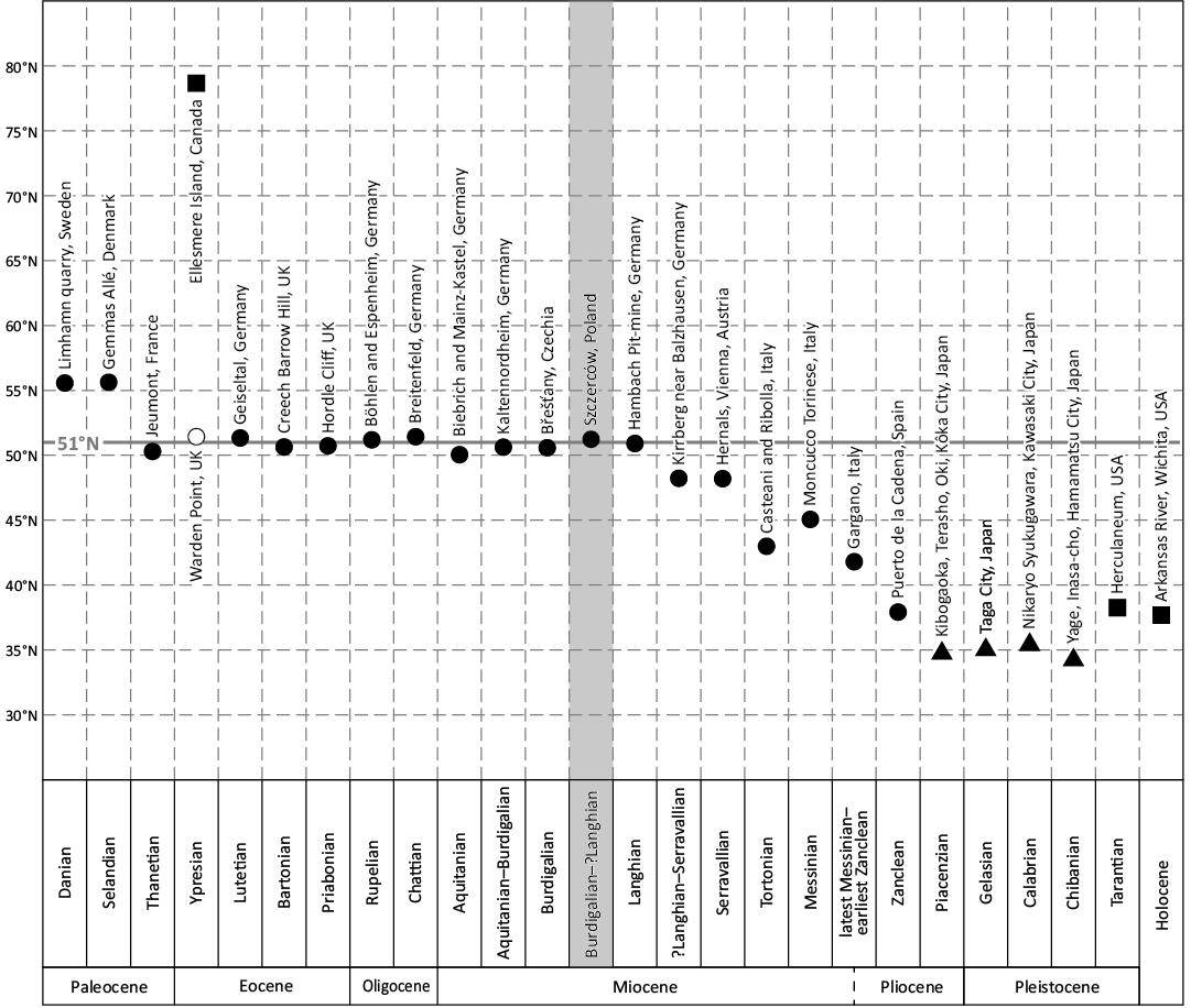 19473.png