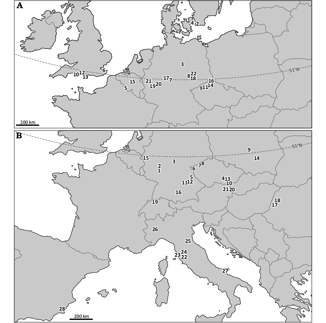 19494.png