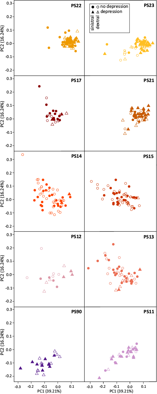 19952.png
