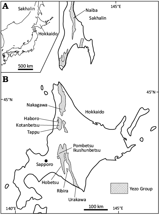 19488.png