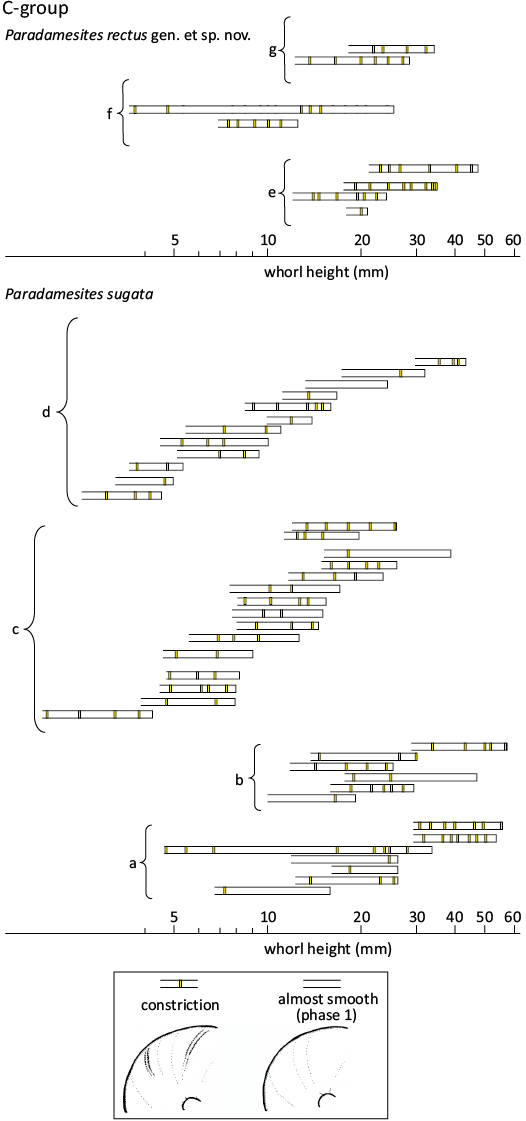 19958.png