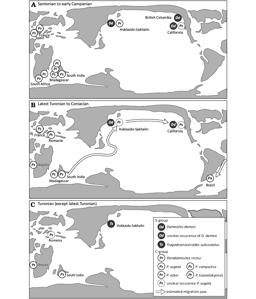 19972.png