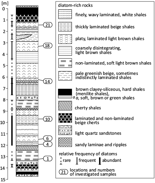 18726.png