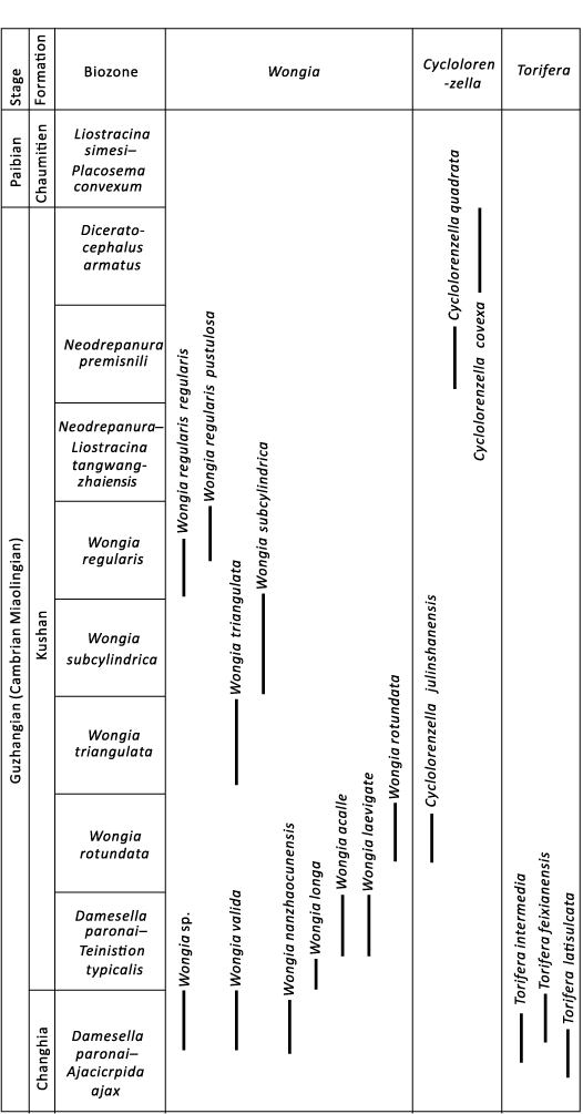 20753.png