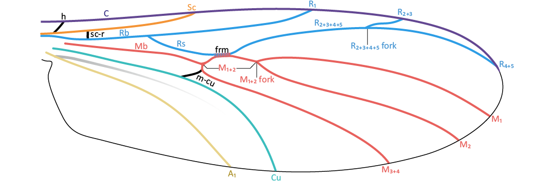 18546.png