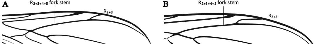 19596.png
